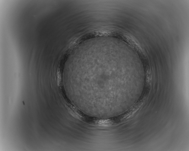 X0000116850173200912291247