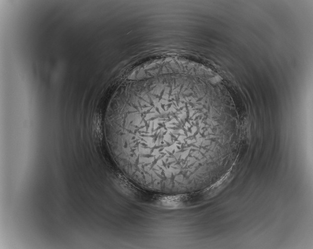 X0000116850178200912291247
