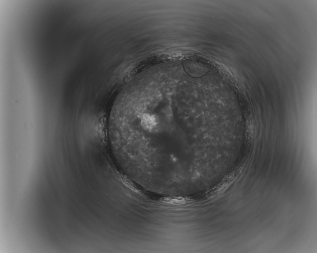 X0000116850181200912291247