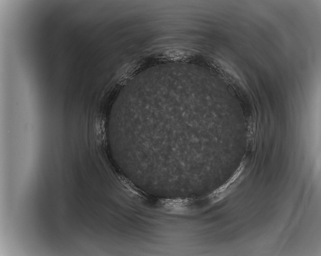 X0000116850182200912291247