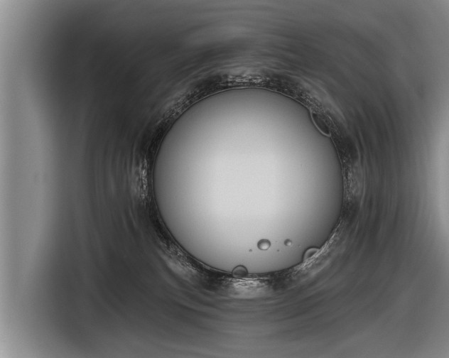 X0000116850183200912291247