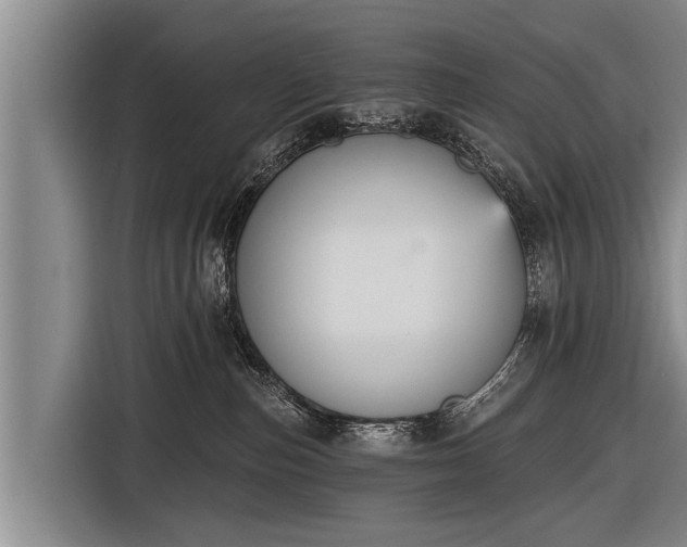 X0000116850187200912291247