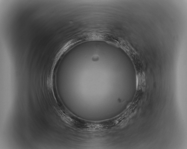 X0000116850195200912291247