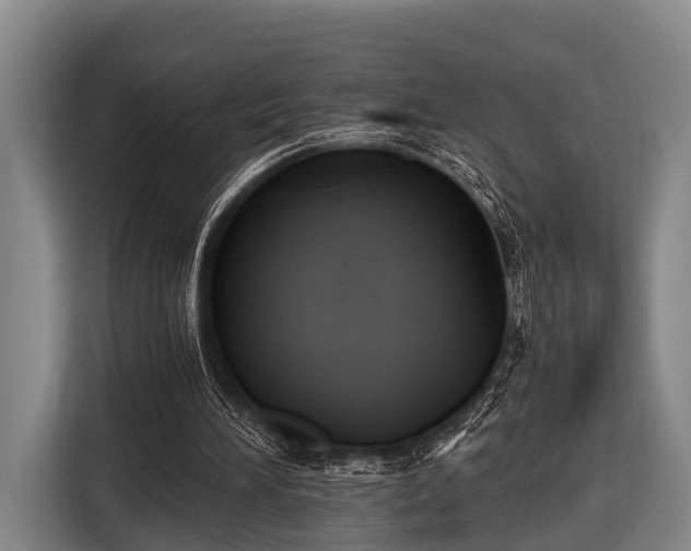 X0000116850196200912291247