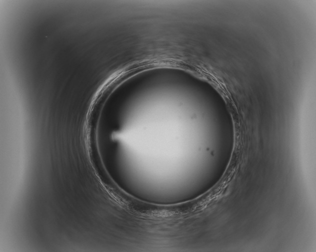 X0000116850197200912291247