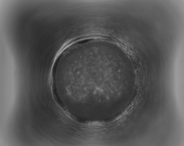 X0000116850198200912291247