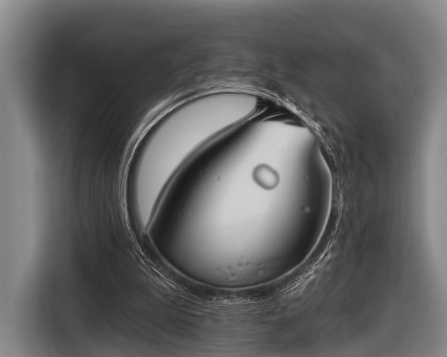X0000116850199200912291247