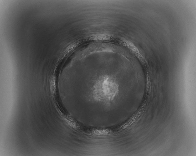 X0000116850202200912291247