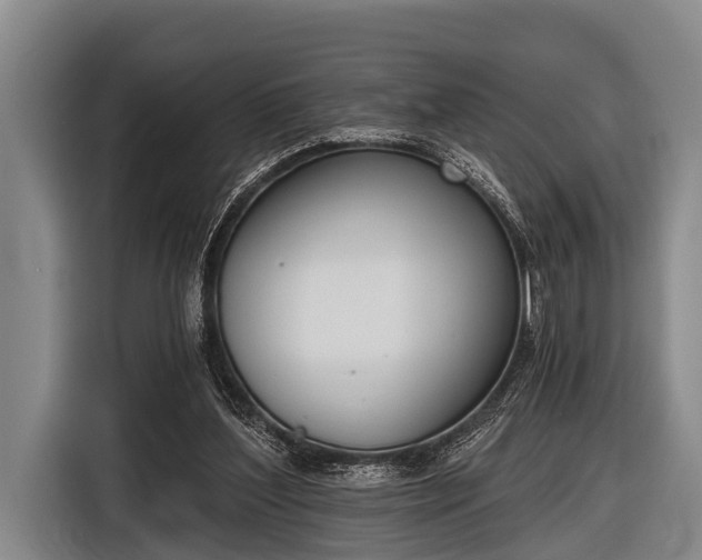 X0000116850204200912291246