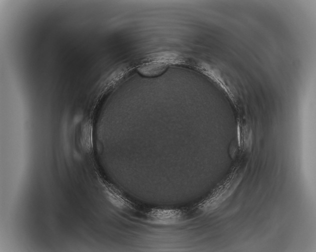 X0000116850205200912291246