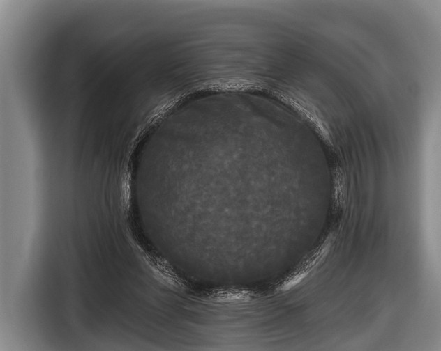 X0000116850206200912291246
