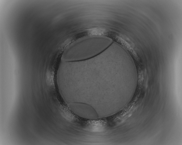 X0000116850209200912291246