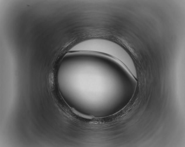 X0000116850211200912291246