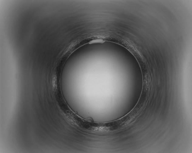X0000116850212200912291246