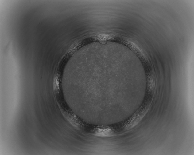 X0000116850214200912291246