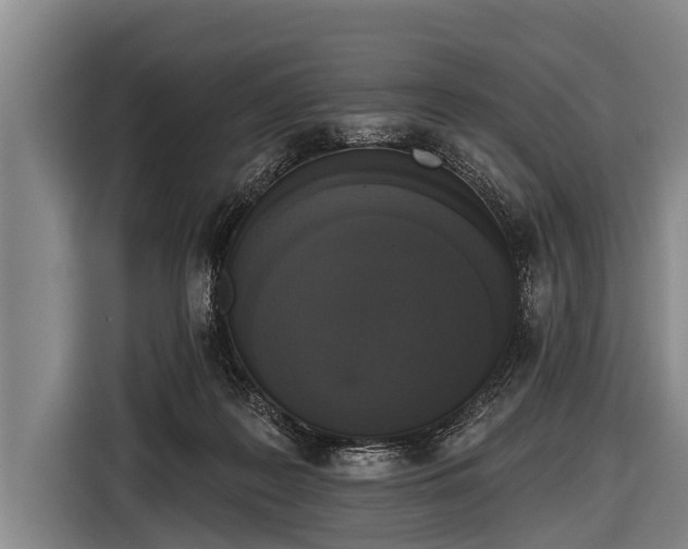 X0000116850219200912291246