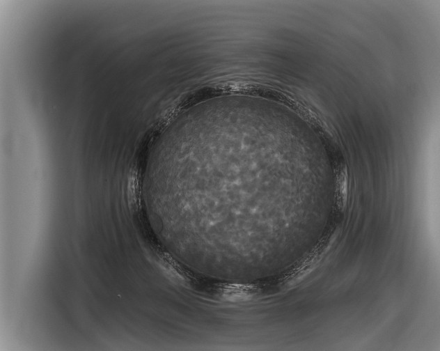 X0000116850222200912291246