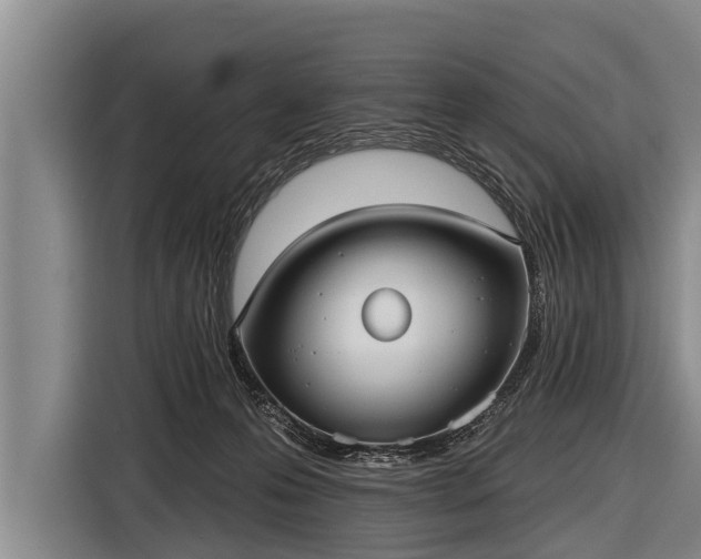X0000116850223200912291246