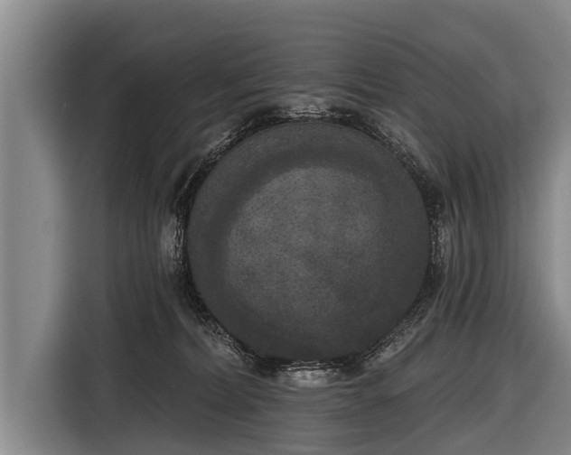 X0000116850228200912291246