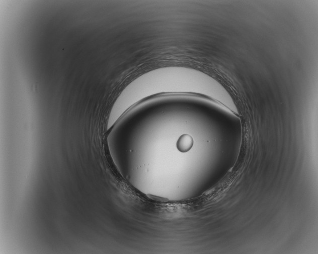 X0000116850233200912291246