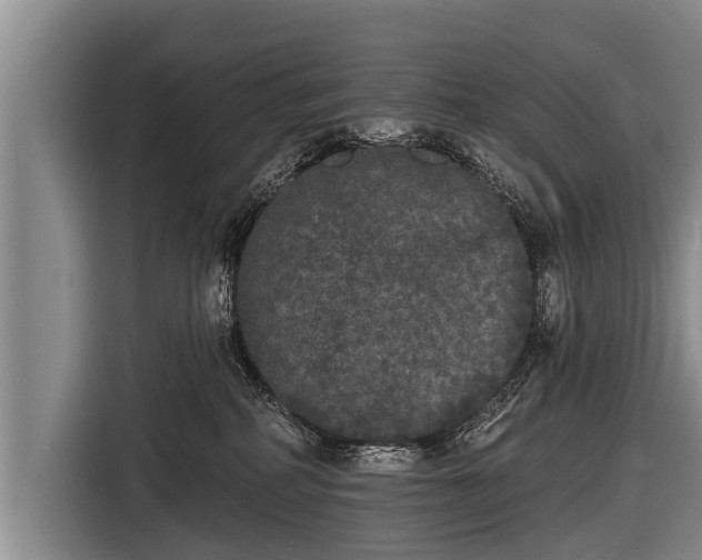 X0000116850234200912291246