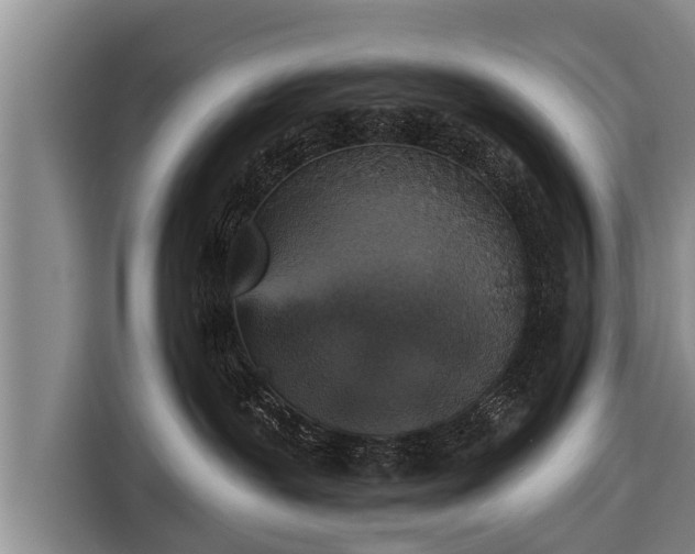 X0000116850239200912291246