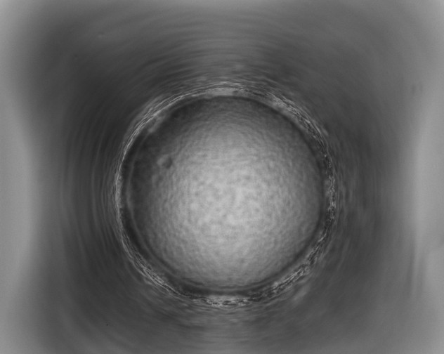X0000116850242200912291245