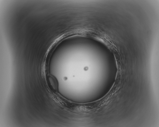X0000116850244200912291245