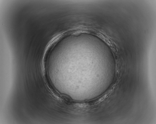 X0000116850245200912291245