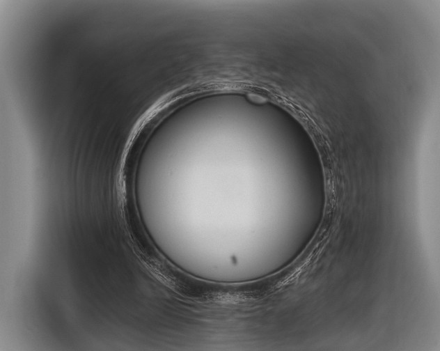 X0000116850246200912291245
