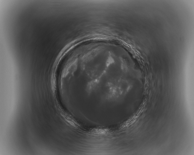 X0000116850247200912291245