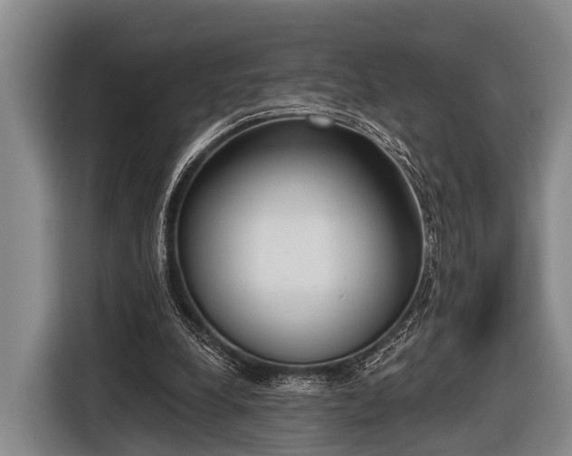 X0000116850248200912291245