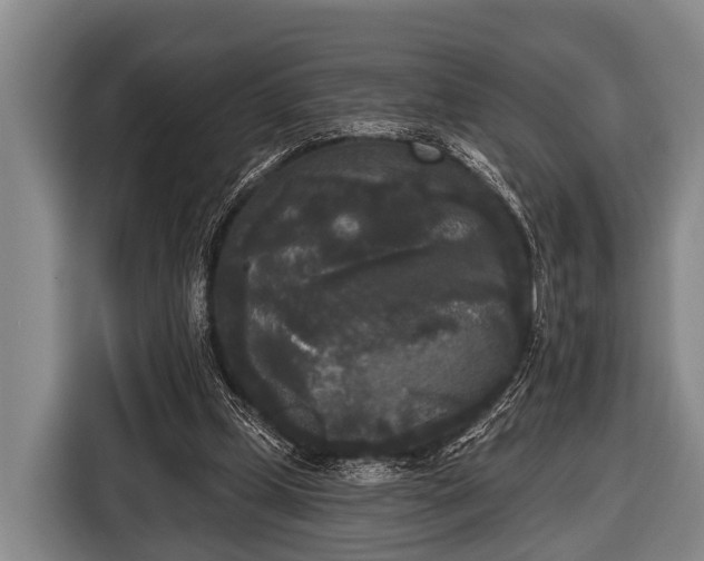 X0000116850249200912291246
