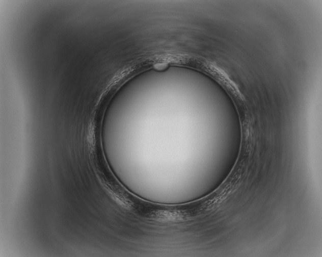 X0000116850250200912291246