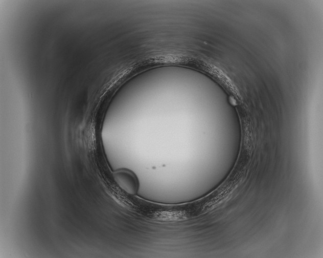 X0000116850251200912291246