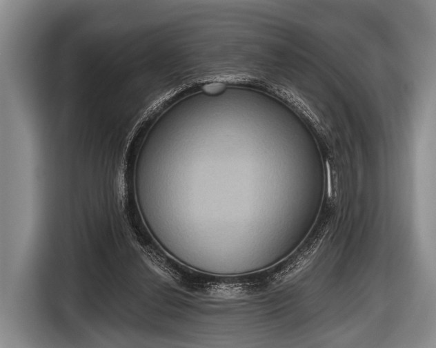 X0000116850252200912291246