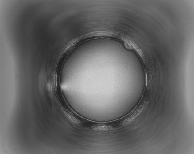 X0000116850253200912291246