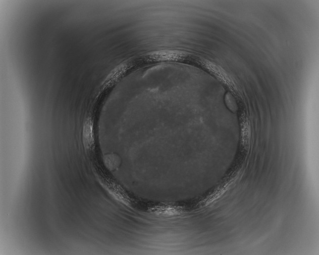 X0000116850254200912291246