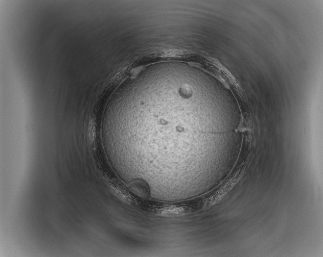 X0000116850257200912291246