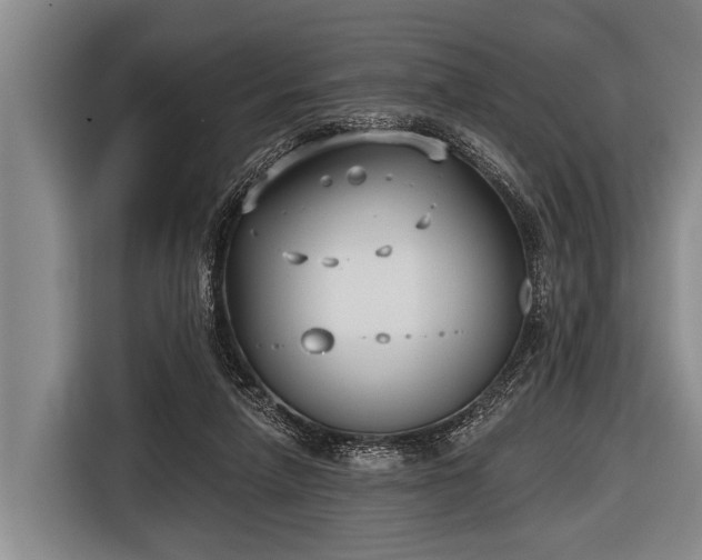 X0000116850258200912291246
