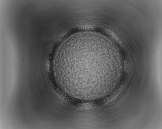 X0000116850259200912291246