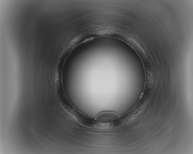 X0000116850260200912291246