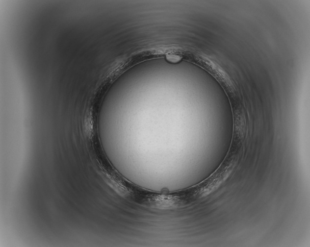 X0000116850261200912291246