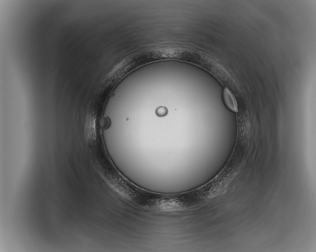X0000116850262200912291246