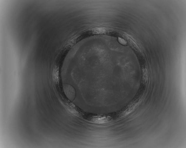 X0000116850267200912291246