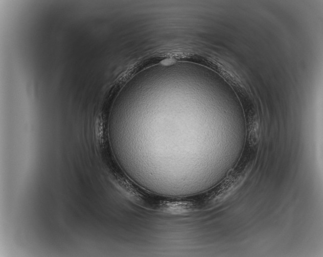 X0000116850268200912291246
