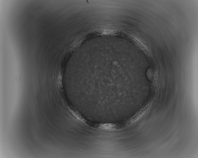 X0000116850269200912291246