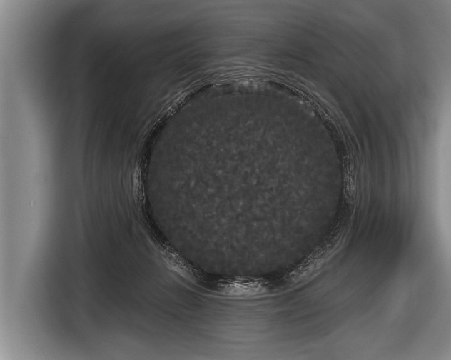 X0000116850270200912291246