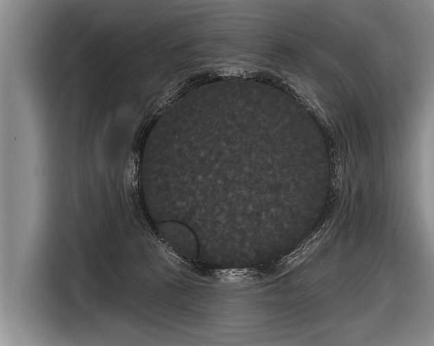 X0000116850273200912291246