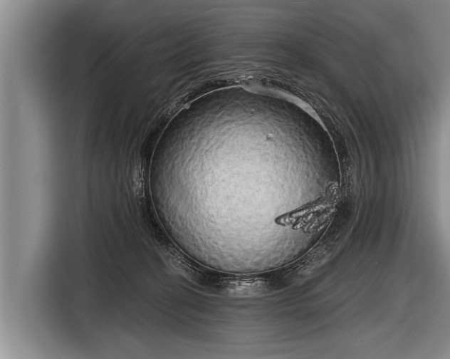 X0000116850274200912291246